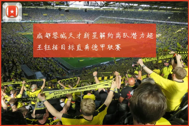 成都蓉城天才新星解约离队潜力超王钰栋目标直奔德甲联赛